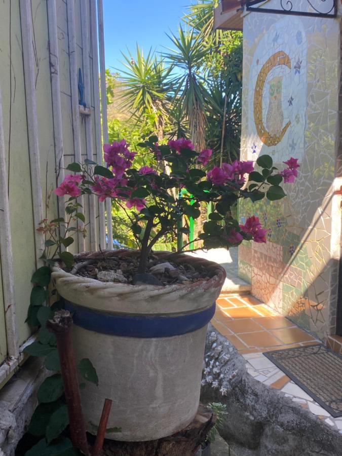 Owl House Hotel Piedades Ngoại thất bức ảnh